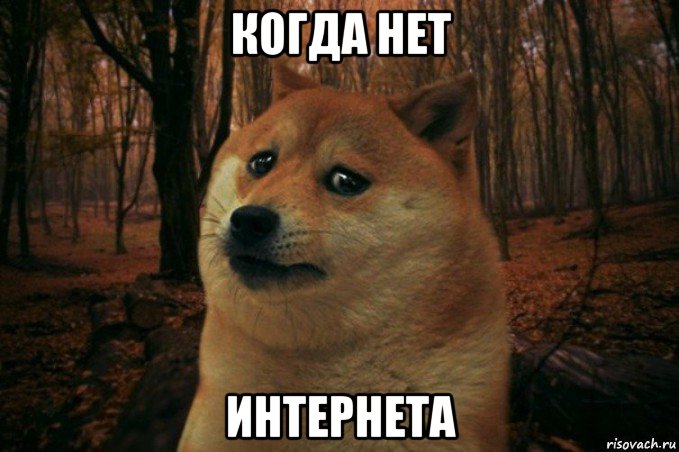 когда нет интернета, Мем SAD DOGE