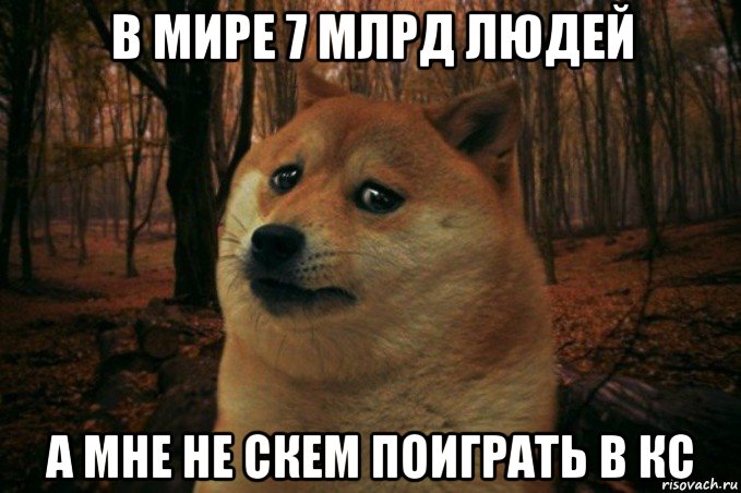 в мире 7 млрд людей а мне не скем поиграть в кс, Мем SAD DOGE