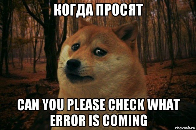 когда просят can you please check what error is coming, Мем SAD DOGE