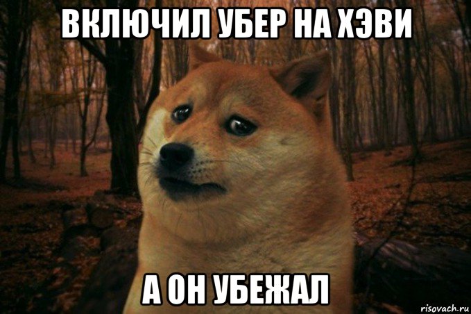 включил убер на хэви а он убежал, Мем SAD DOGE