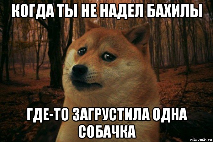 когда ты не надел бахилы где-то загрустила одна собачка, Мем SAD DOGE