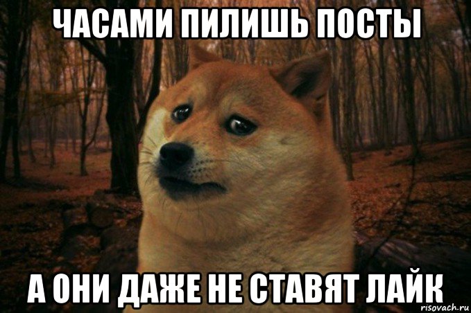 часами пилишь посты а они даже не ставят лайк, Мем SAD DOGE