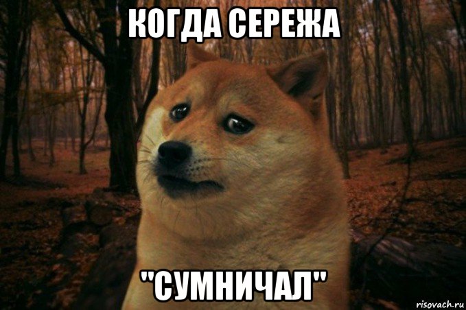 когда сережа "сумничал", Мем SAD DOGE