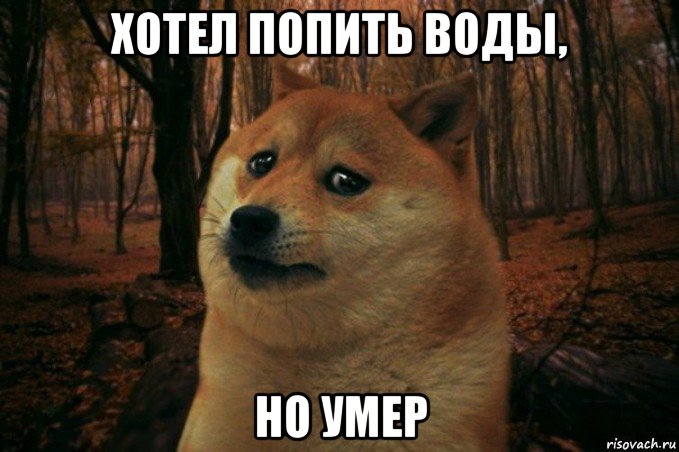 хотел попить воды, но умер, Мем SAD DOGE