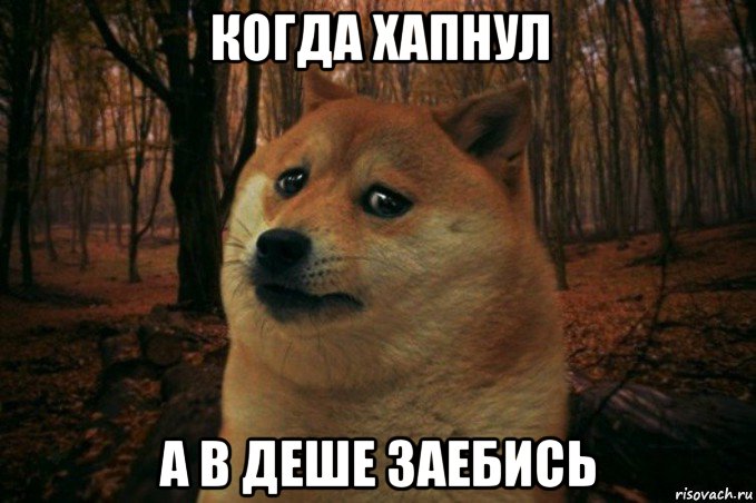 когда хапнул а в деше заебись, Мем SAD DOGE