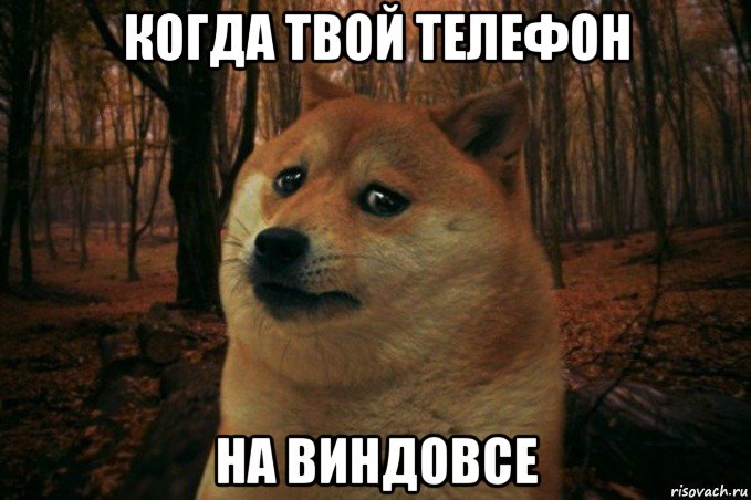 когда твой телефон на виндовсе, Мем SAD DOGE