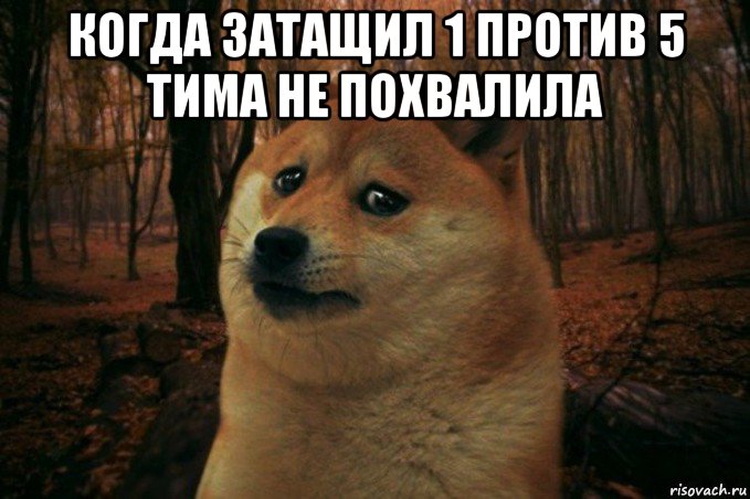 когда затащил 1 против 5 тима не похвалила , Мем SAD DOGE