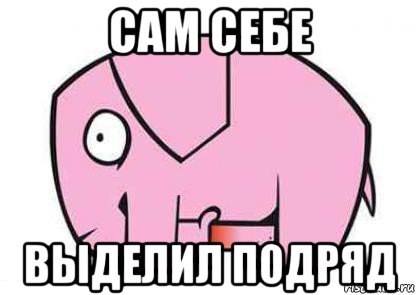 сам себе выделил подряд