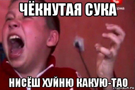 чёкнутая сука нисёш хуйню какую-тао