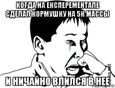 когда на експерементале сделал кормушку на 5к массы и ничайно влился в нее, Мем сашок