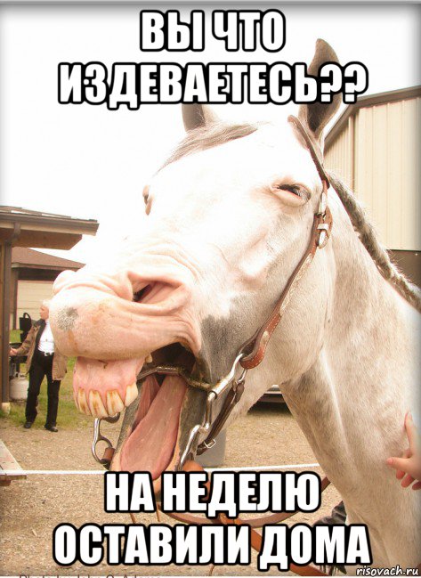 вы что издеваетесь?? на неделю оставили дома