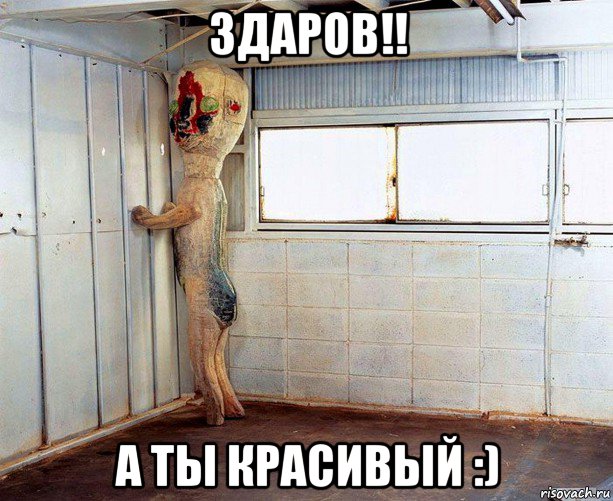 здаров!! а ты красивый :)