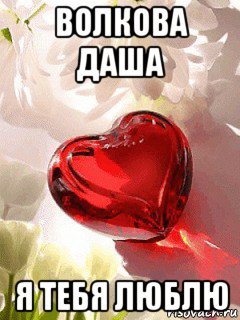 волкова даша я тебя люблю