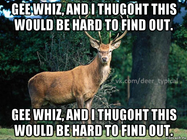 gee whiz, and i thugoht this would be hard to find out. gee whiz, and i thugoht this would be hard to find out., Мем Паблик Типичный олень