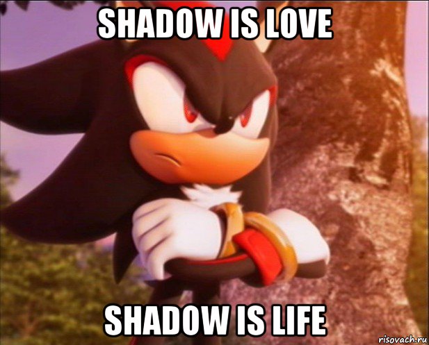 shadow is love shadow is life