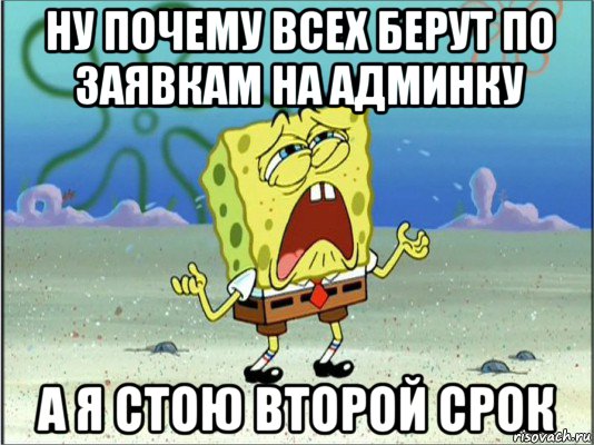 ну почему всех берут по заявкам на админку а я стою второй срок, Мем Спанч Боб плачет