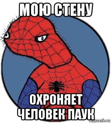 мою стену охроняет человек паук, Мем Спудик