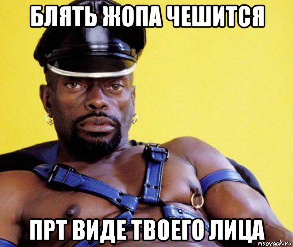 блять жопа чешится прт виде твоего лица
