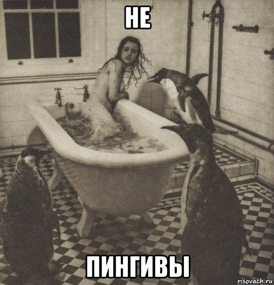 не пингивы, Мем Столбняк