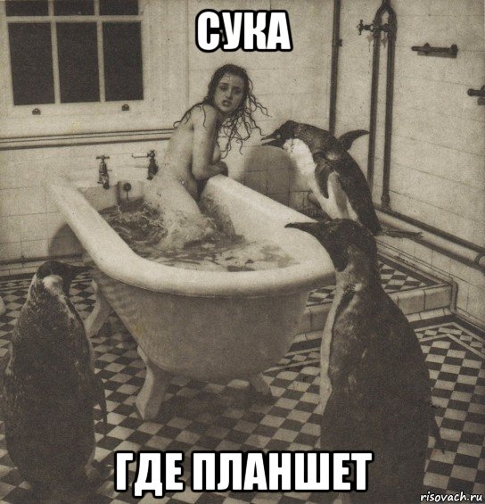 сука где планшет, Мем Столбняк