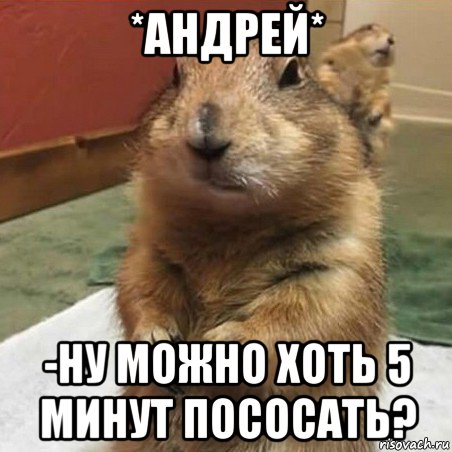 *андрей* -ну можно хоть 5 минут пососать?