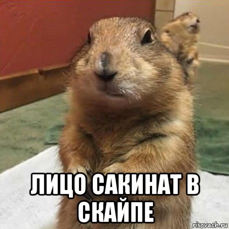  лицо сакинат в скайпе