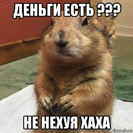 деньги есть ??? не нехуя хаха, Мем Суслик спрашивает