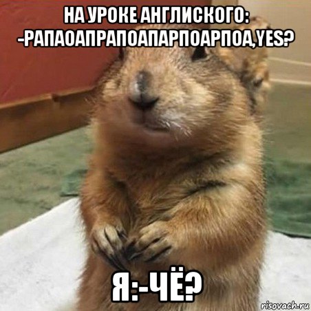 на уроке англиского: -рапаоапрапоапарпоарпоа,yes? я:-чё?, Мем Суслик спрашивает