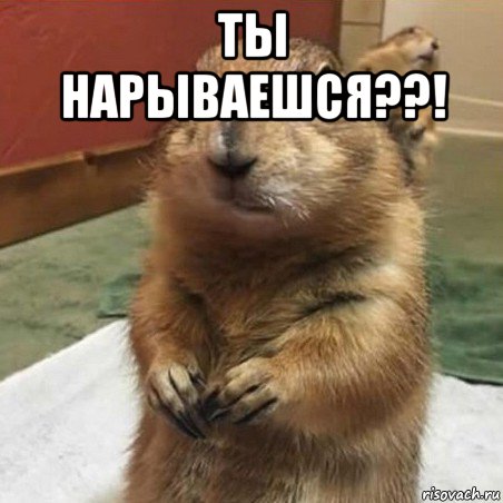 ты нарываешся??! , Мем Суслик спрашивает