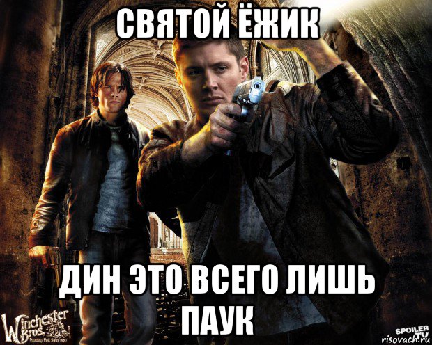 святой ёжик дин это всего лишь паук