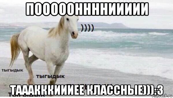 пооооонннниииии тааакккиииее классные))):з, Мем   Тыгыдык