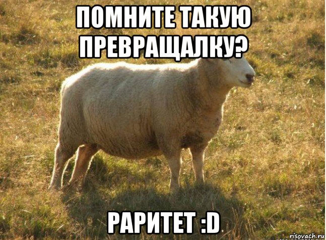 помните такую превращалку? раритет :d, Мем Типичная овца