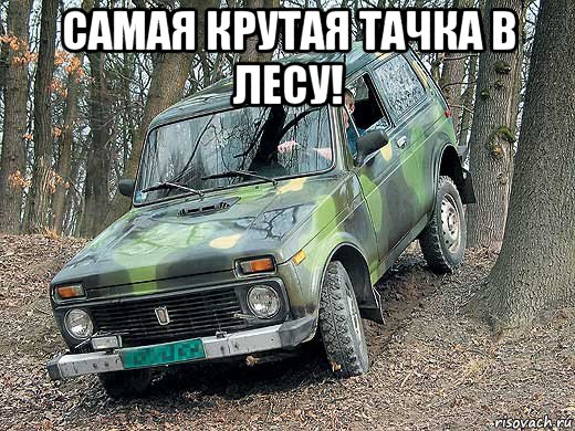 самая крутая тачка в лесу! 