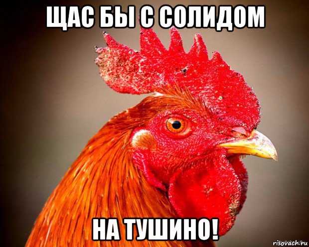 щас бы с солидом на тушино!