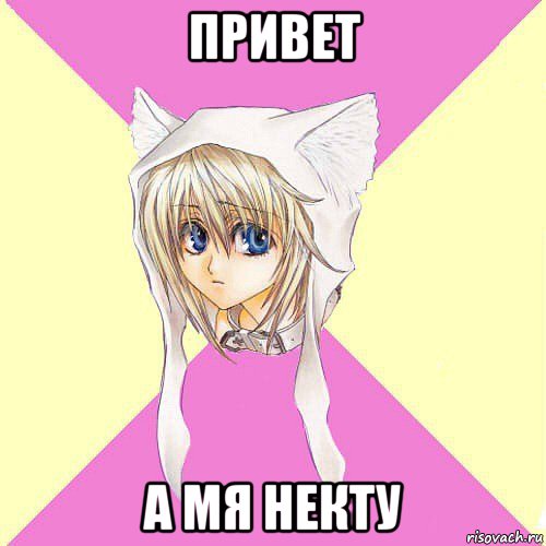привет а мя некту