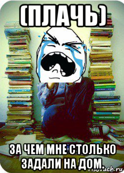 (плачь) за чем мне столько задали на дом., Мем Типовий десятикласник