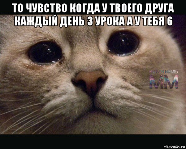 то чувство когда у твоего друга каждый день 3 урока а у тебя 6 