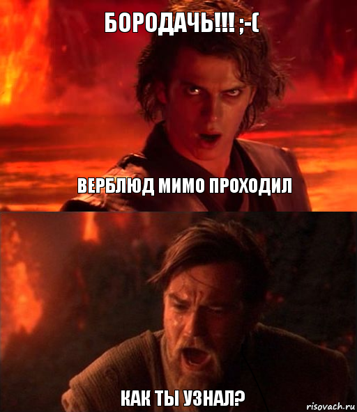 бородачь!!! ;-( как ты узнал? Верблюд мимо проходил