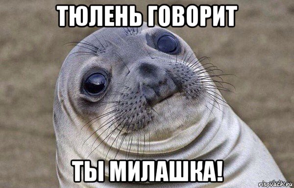 тюлень говорит ты милашка!