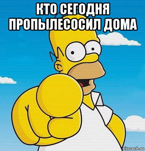 кто сегодня пропылесосил дома , Мем  Ты - лох
