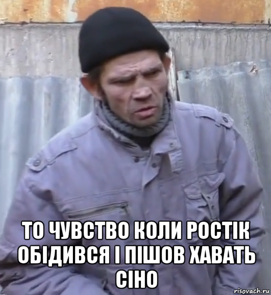  то чувство коли ростік обідився і пішов хавать сіно, Мем  Ты втираешь мне какую то дичь