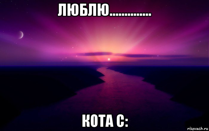 люблю.............. кота с:, Мем у всех любовь