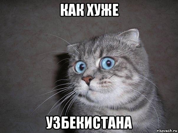 как хуже узбекистана, Мем  удивлённый кот