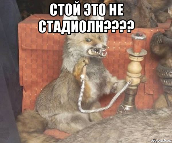 стой это не стадиолн???? , Мем Упоротый лис курит кальян