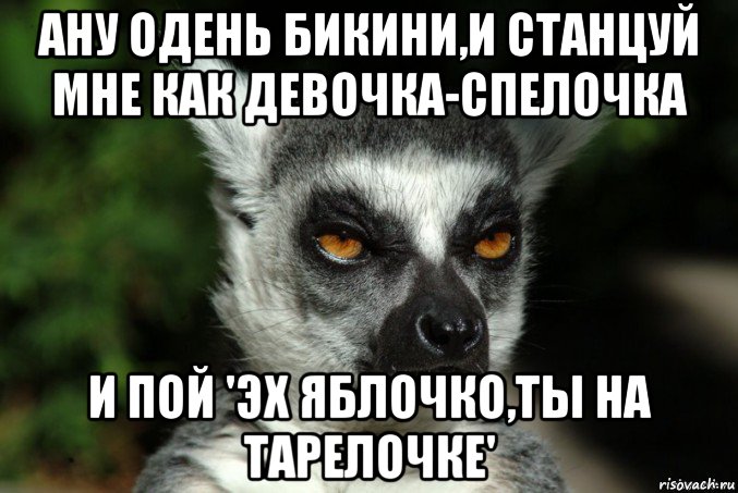 ану одень бикини,и станцуй мне как девочка-спелочка и пой 'эх яблочко,ты на тарелочке', Мем   Я збагоен