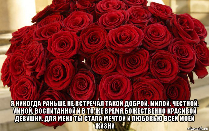  я никогда раньше не встречал такой доброй, милой, честной, умной, воспитанной и в то же время божественно красивой девушки. для меня ты стала мечтой и любовью всей моей жизни