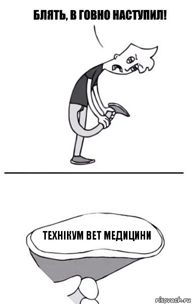 Технікум вет медицини, Комикс В говно наступил