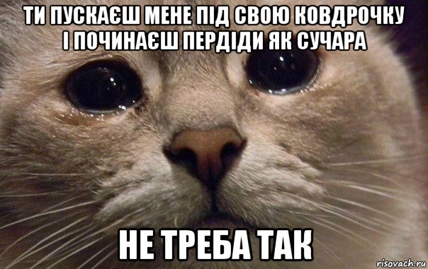 ти пускаєш мене під свою ковдрочку і починаєш пердіди як сучара не треба так, Мем   В мире грустит один котик