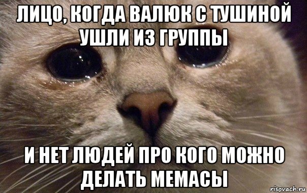 лицо, когда валюк с тушиной ушли из группы и нет людей про кого можно делать мемасы, Мем   В мире грустит один котик