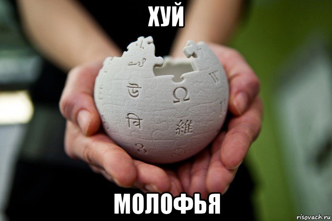 хуй молофья, Мем Википедия